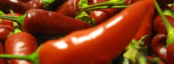 Capsicum_peperoncino